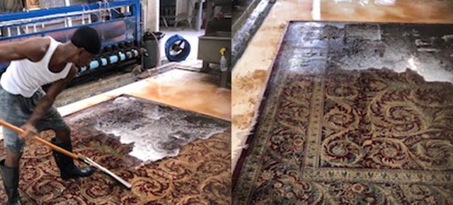 Area Rug Cleaning Services