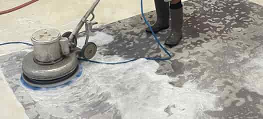 Area Rug Cleaning Service Area Rug Cleaning Service
