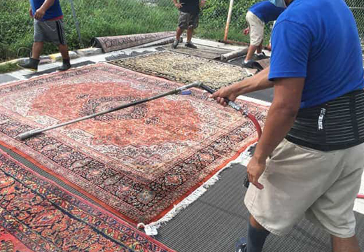 Persian Rug Dust Cleaning
